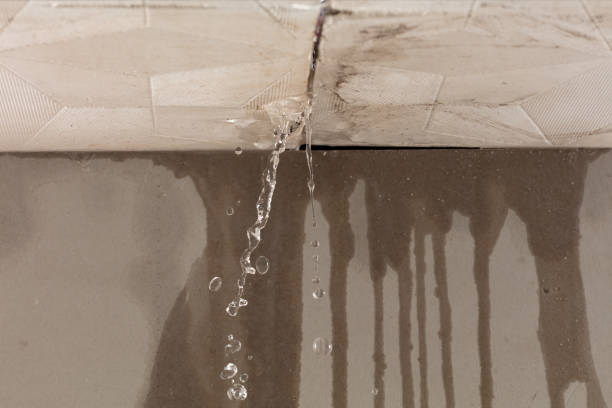 Professional Burst Pipe Cleanup technician working in Farley, MO